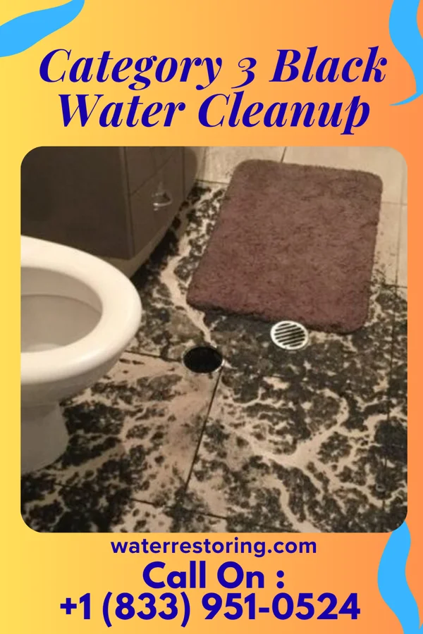 Category 3 Black Water Cleanup in Atlantic Beach, NY