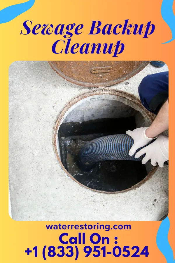 Sewage Backup Cleanup in Atlantic Beach, NY