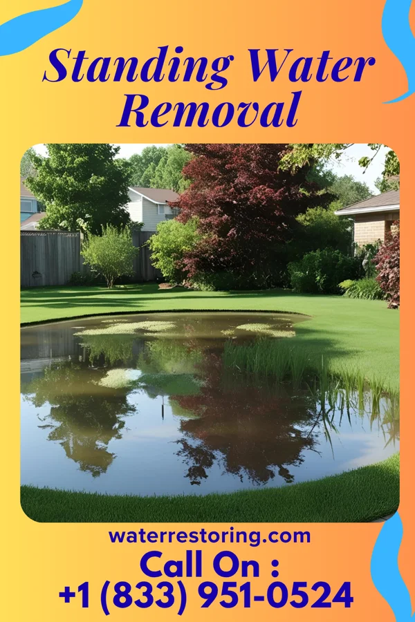 Standing Water Removal in Atlantic Beach, NY